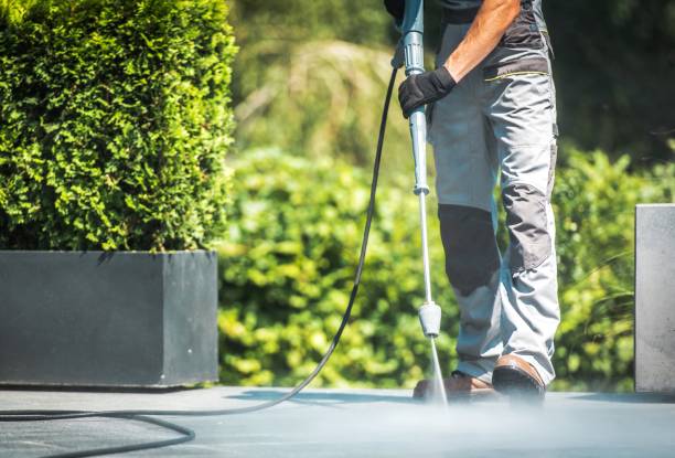 Best Sidewalk and Walkway Cleaning  in Floydada, TX